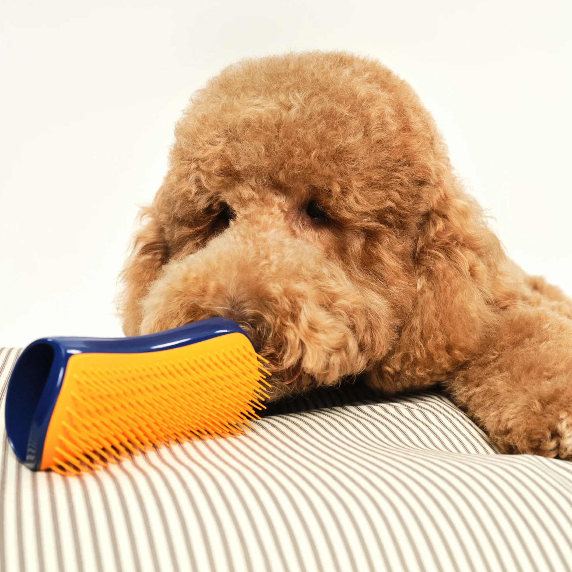 Detangling Dog Grooming Brush A3
