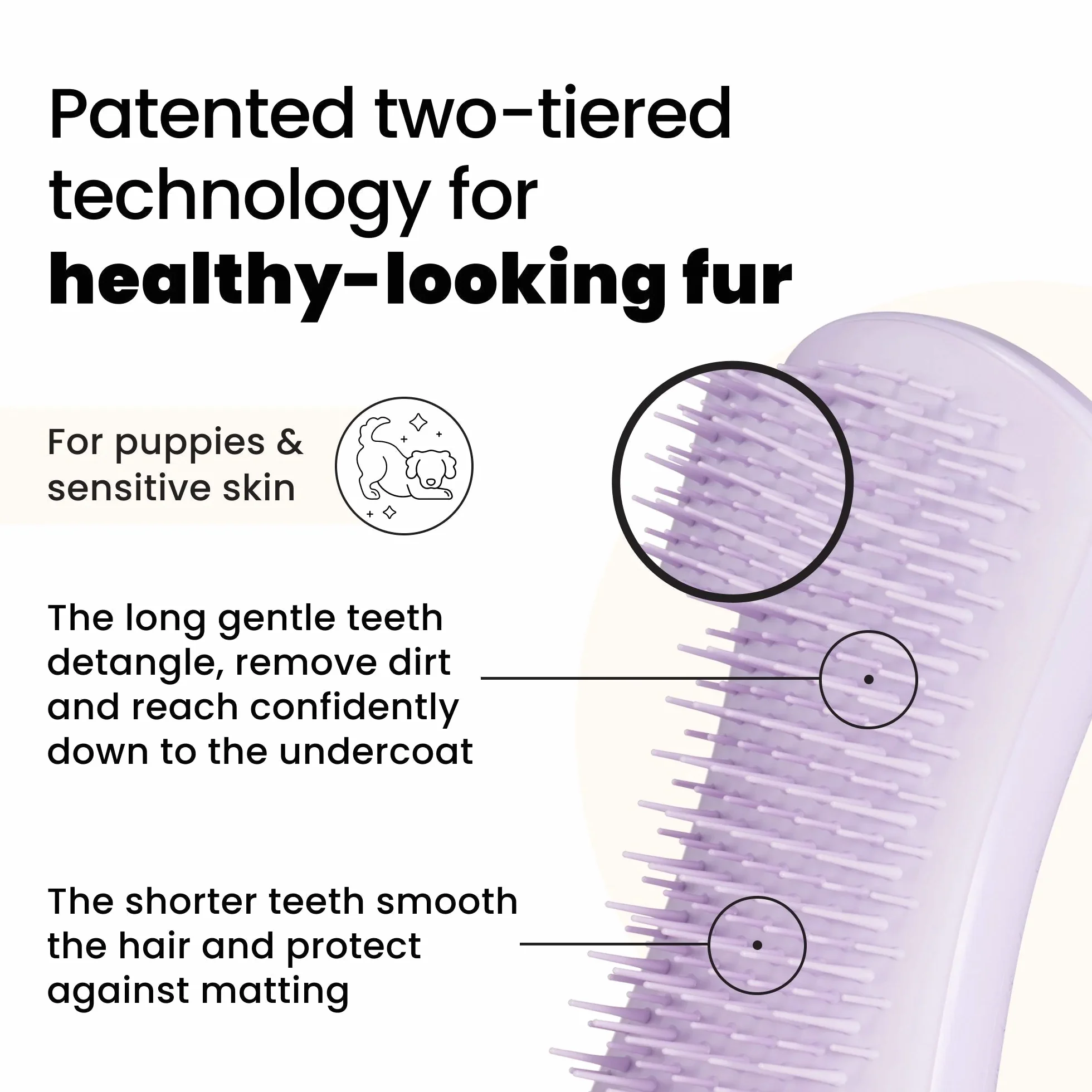 Puppy Brush A6