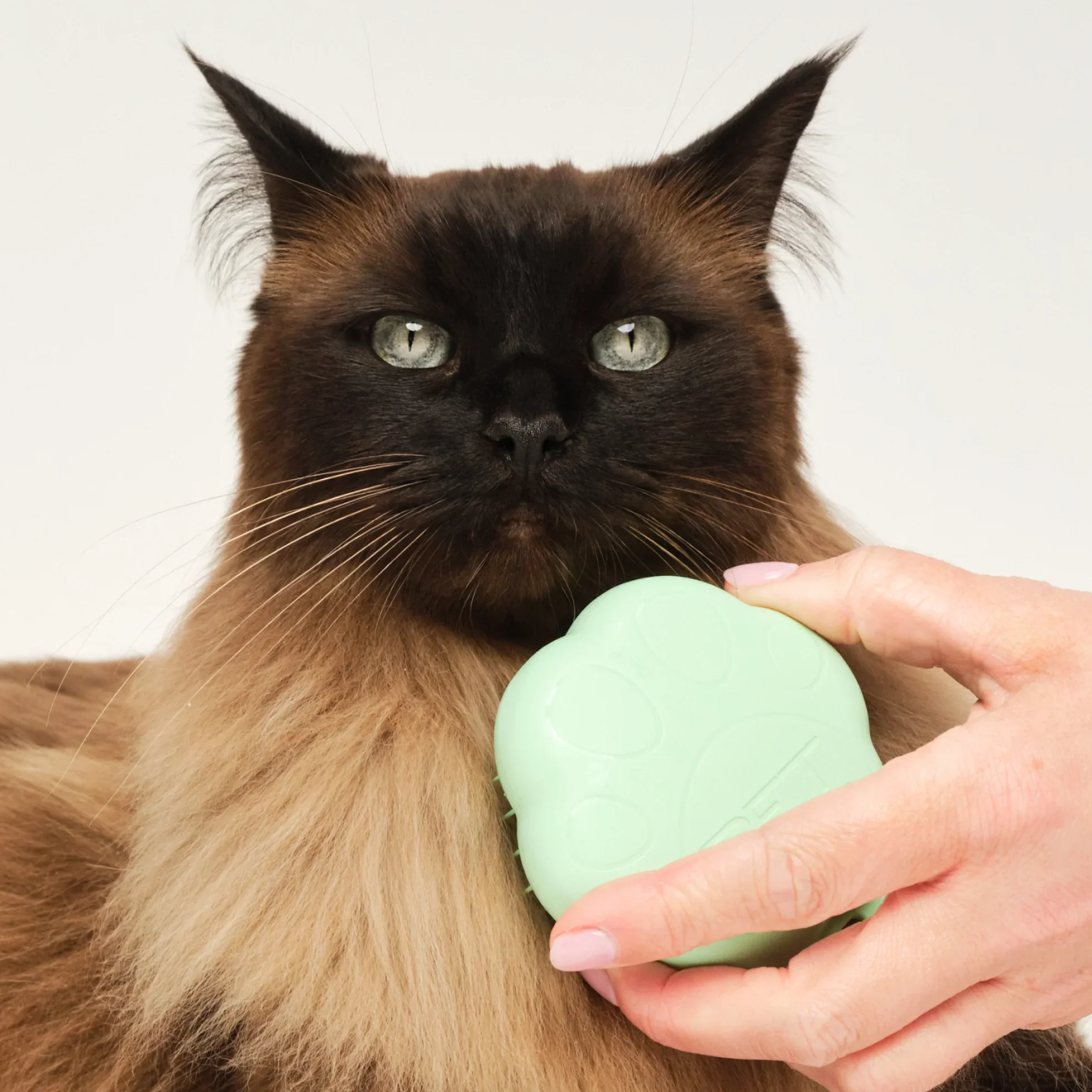 Cat Grooming Brush D5
