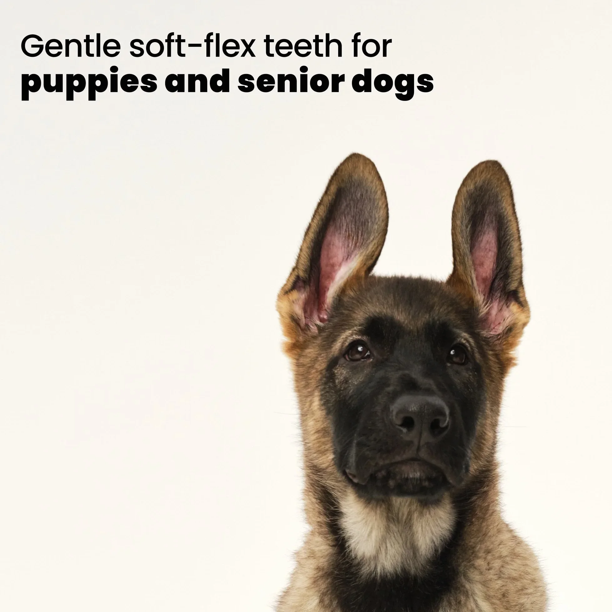 Puppy Brush A6